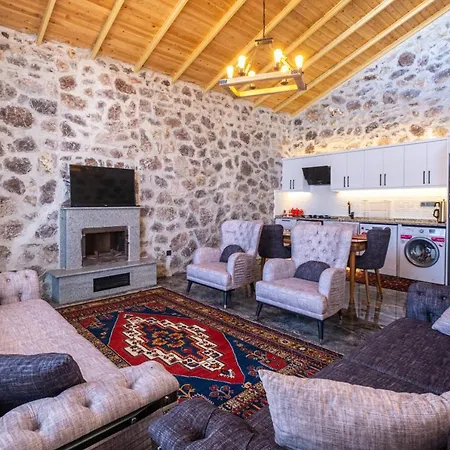 Villa House With Pool And Mesmerizing View In Seydikemer *